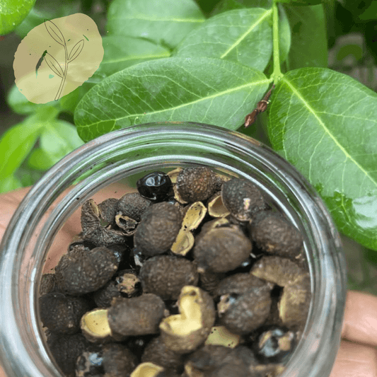 Sichuan Peppercorns (Timur) - Nagaland